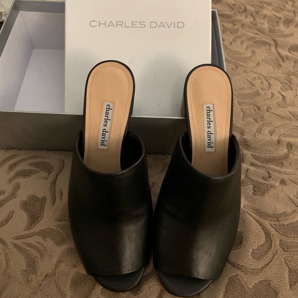 Charles David Mules/Shoes